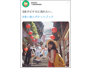投稿例